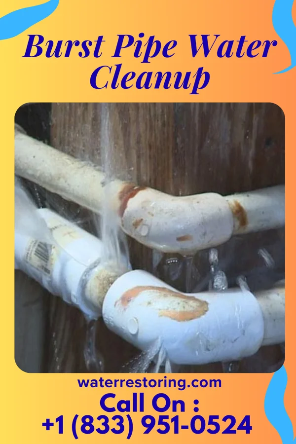Burst Pipe Water Cleanup in Eagle River, WI