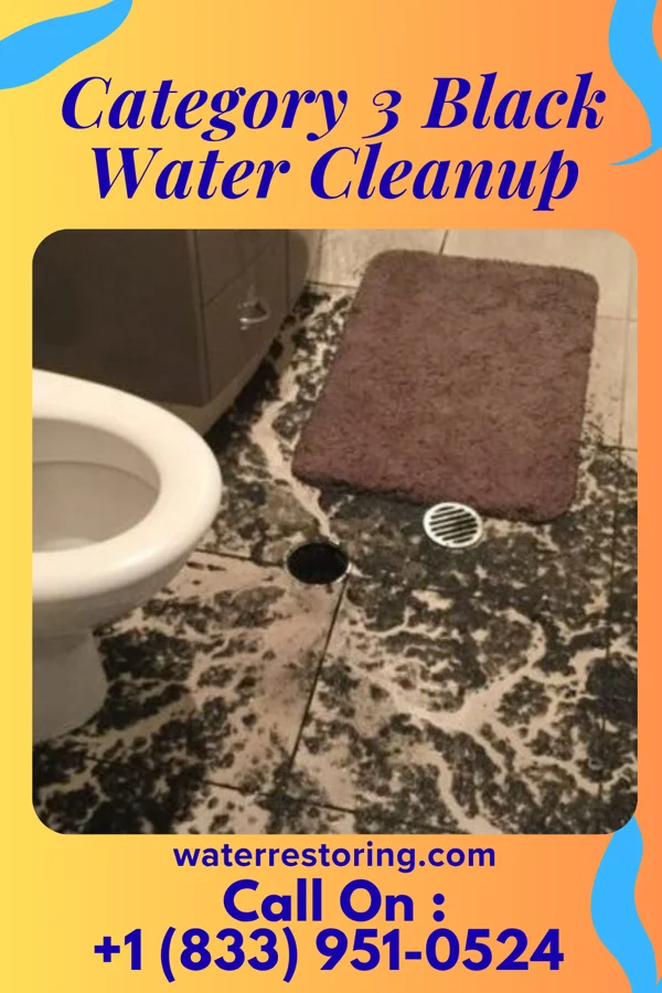 Category 3 Black Water Cleanup in Eagle River, WI