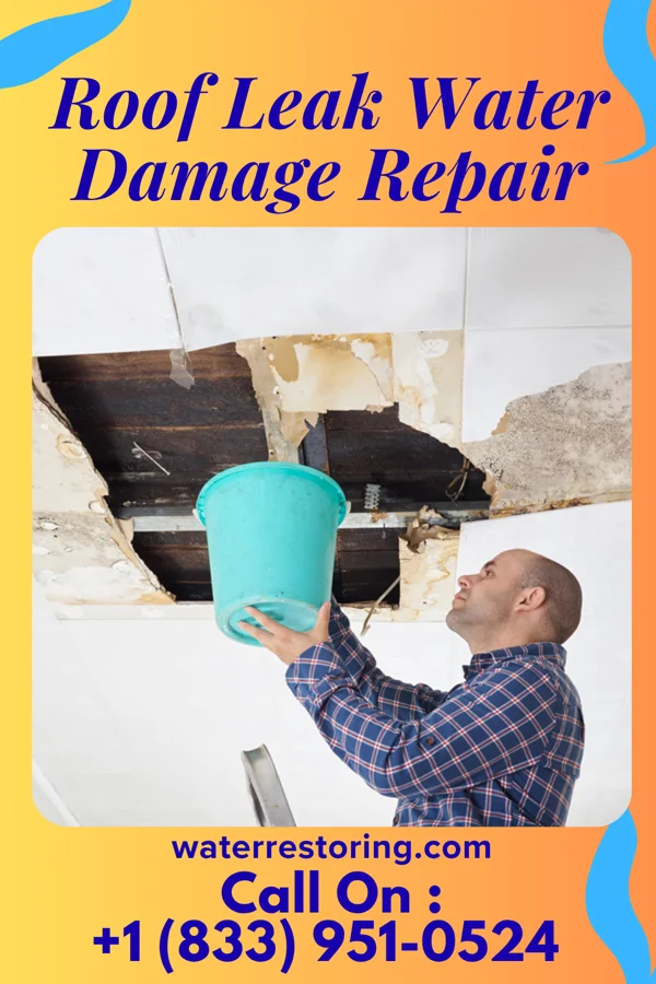 Roof Leak Water Damage Repair in Eagle River, WI