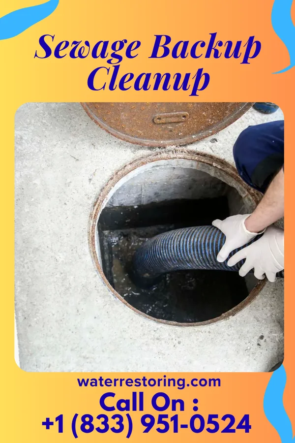 Sewage Backup Cleanup in Eagle River, WI