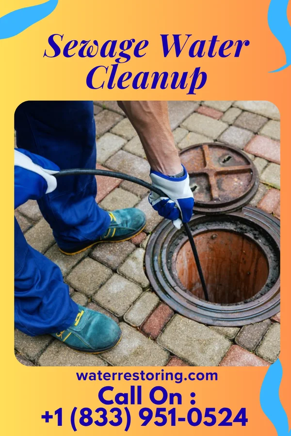 Sewage Water Cleanup in Eagle River, WI